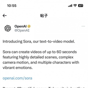 深夜发布“王炸”模型Sora：OpenAI首个文生视频模型将颠覆现实？｜科技观察 ...