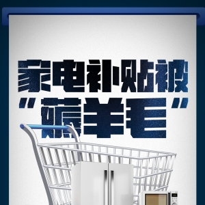 频曝骗补、套补、突袭式涨价，部分家电以旧换新补贴被“薅羊毛”？ ...