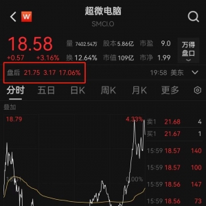 昔日AI大牛股或被退市，股价已暴跌超8成